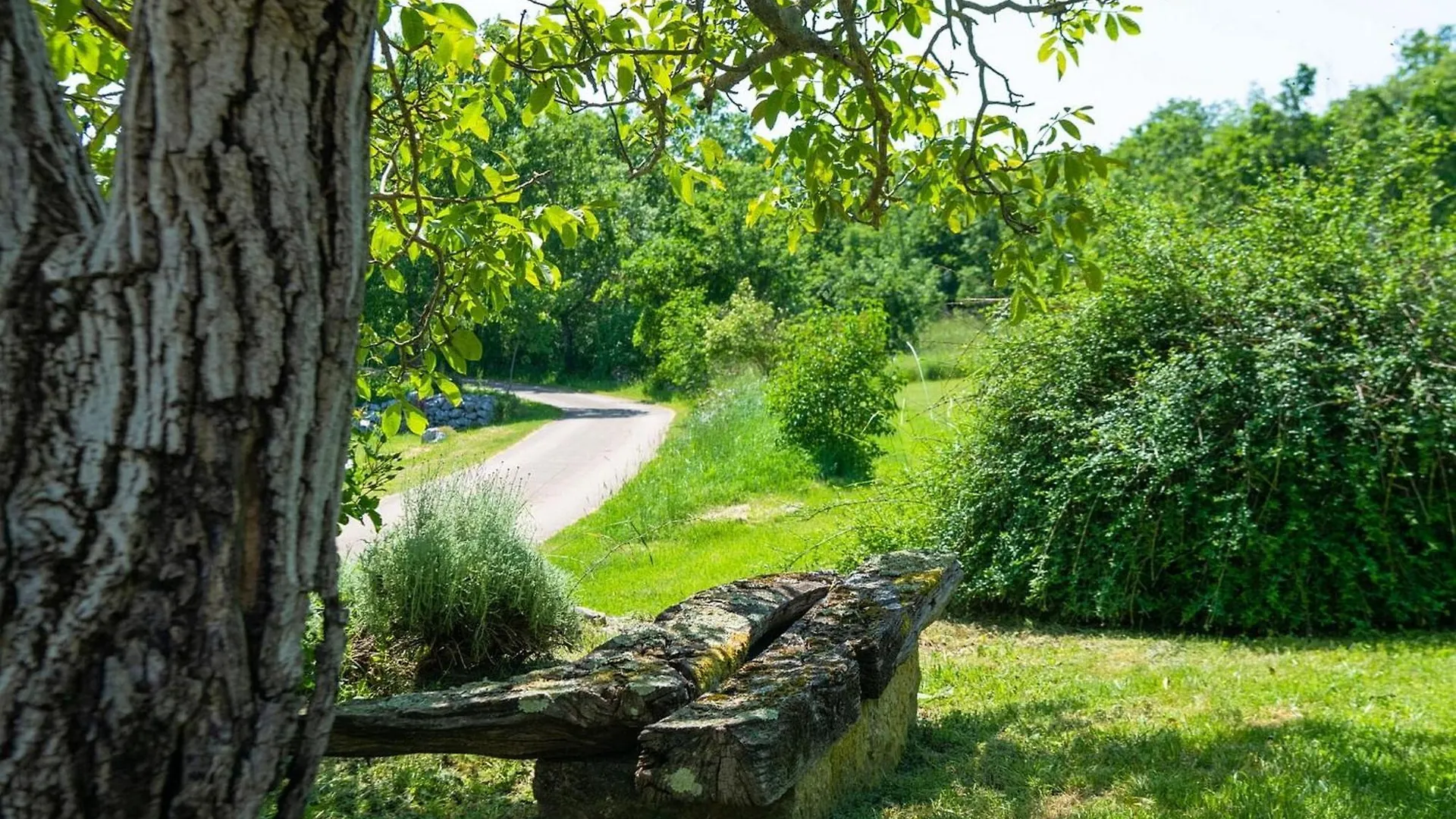 Villa Casa Ida Grožnjan Casa vacanze